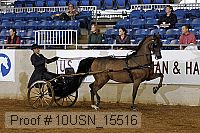 10usn_15516 proof