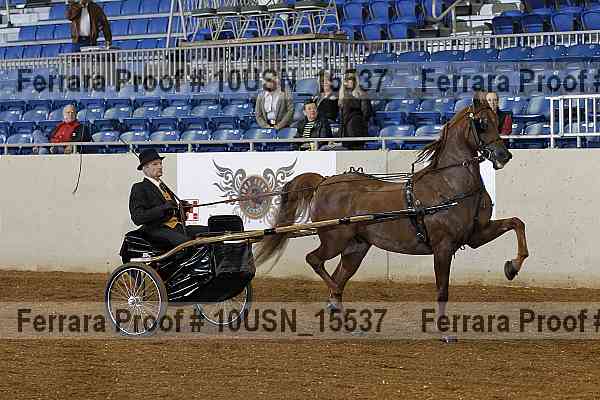 Proof 10usn_15537