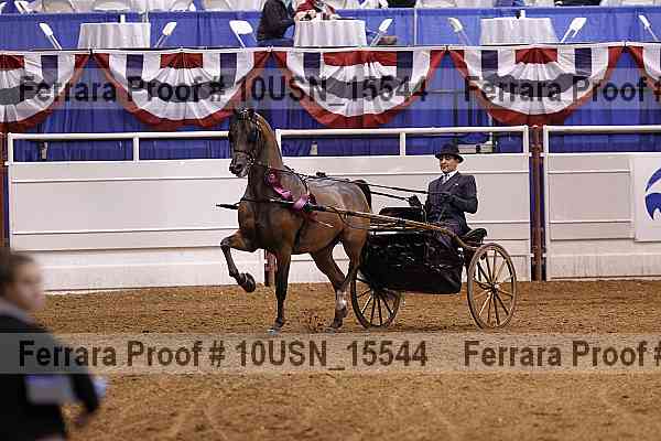 Proof 10usn_15544