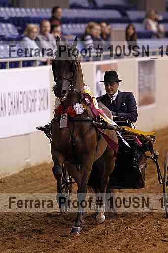 Proof 10usn_15547