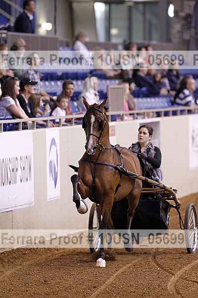 Proof 10usn_05699
