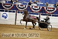 10usn_05732 proof