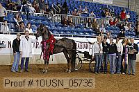 10usn_05735 proof
