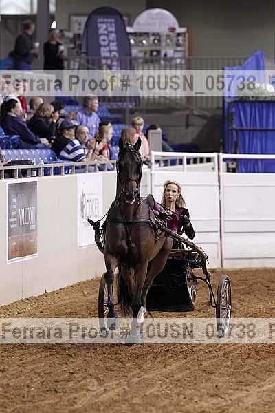 Proof 10usn_05738