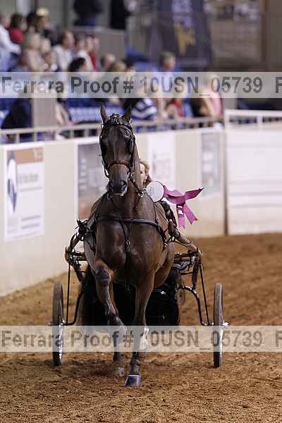 Proof 10usn_05739