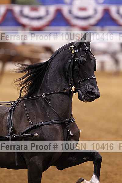 Proof 10usn_10416