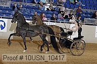 10usn_10417 proof