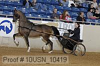 10usn_10419 proof