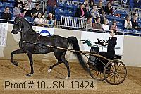 10usn_10424 proof