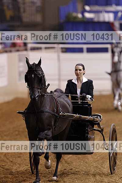 Proof 10usn_10431