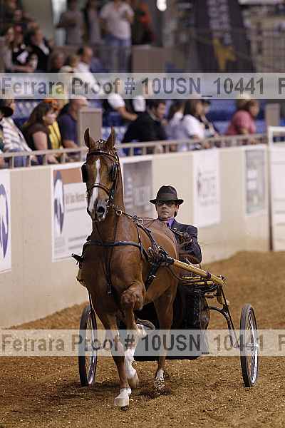 Proof 10usn_10441