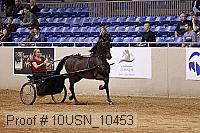10usn_10453 proof