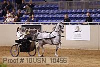 10usn_10456 proof