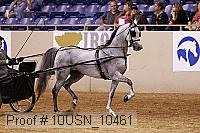 10usn_10461 proof