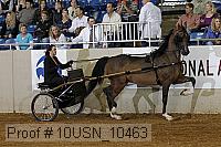10usn_10463 proof