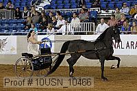 10usn_10466 proof