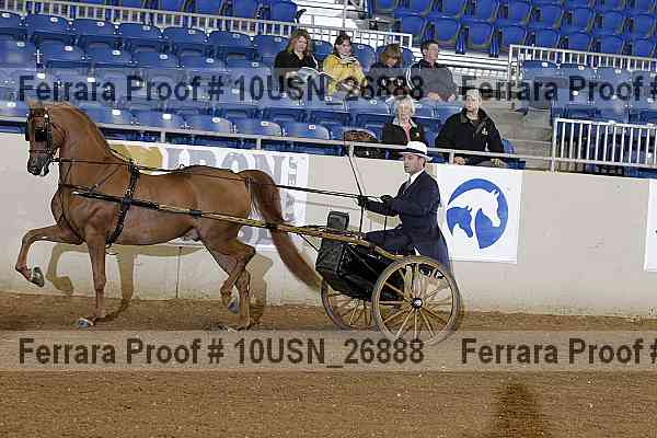Proof 10usn_26888