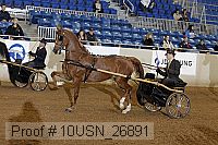 10usn_26891 proof