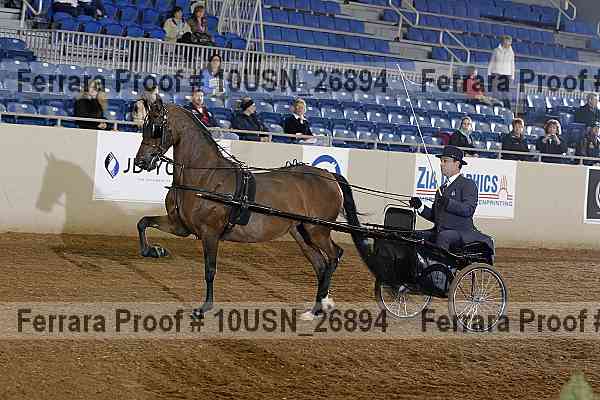 Proof 10usn_26894