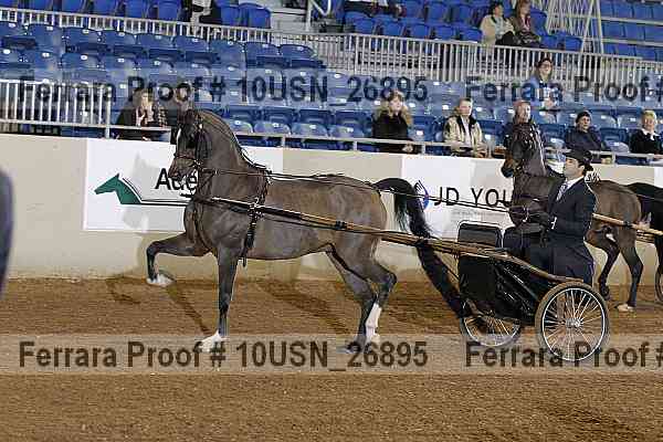 Proof 10usn_26895