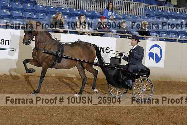 Proof 10usn_26904