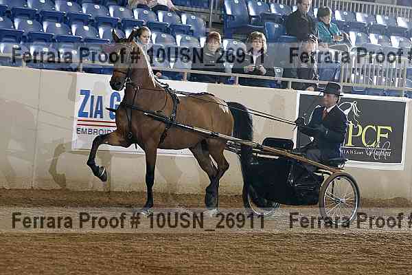 Proof 10usn_26911
