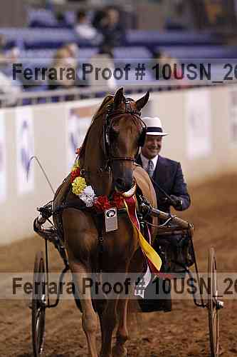 Proof 10usn_26937