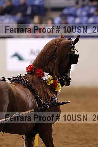 Proof 10usn_26938