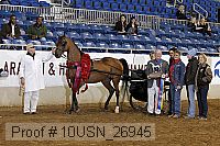 10usn_26945 proof