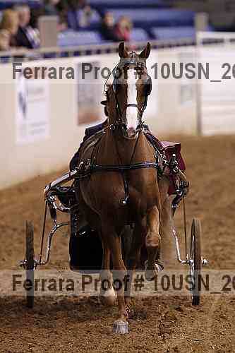 Proof 10usn_26949