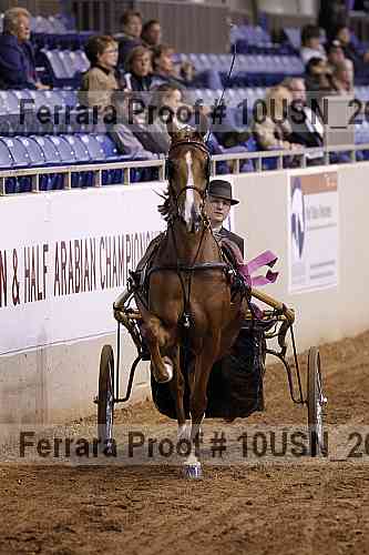 Proof 10usn_26955