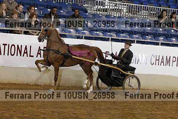 Proof 10usn_26958