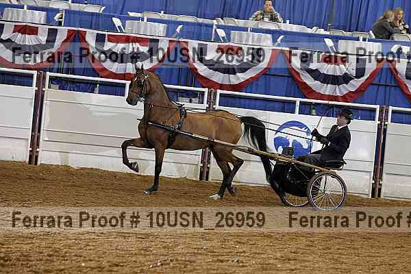Proof 10usn_26959