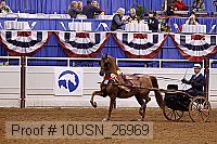 10usn_26969 proof