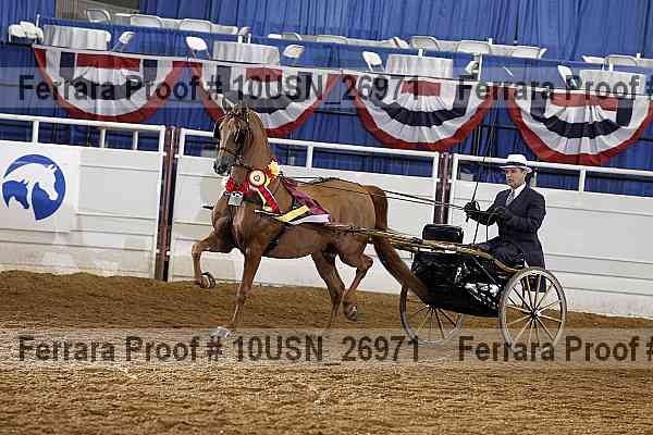 Proof 10usn_26971