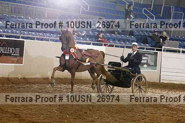 Proof 10usn_26974