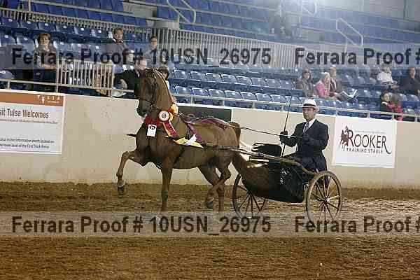 Proof 10usn_26975