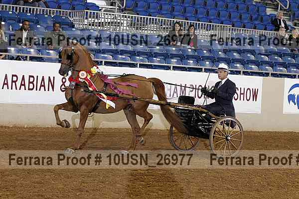 Proof 10usn_26977