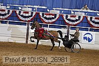 10usn_26981 proof