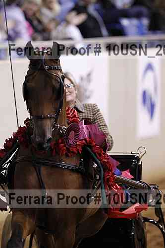 Proof 10usn_26987