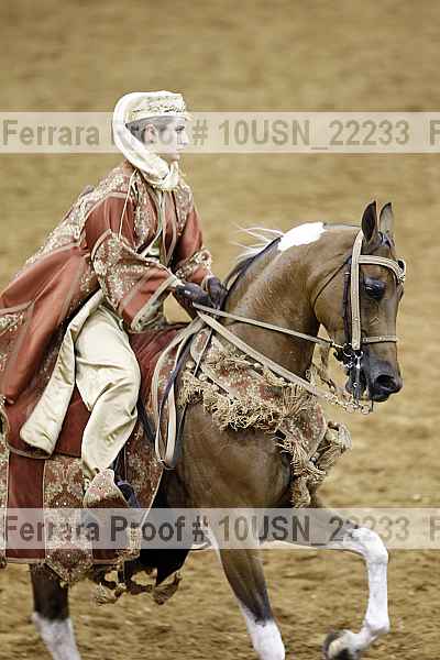 Proof 10usn_22233