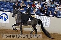 10usn_07464 proof