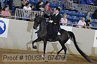 10usn_07479 proof