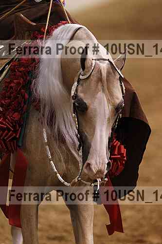 Proof 10usn_14844