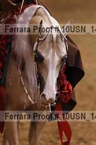 Proof 10usn_14845