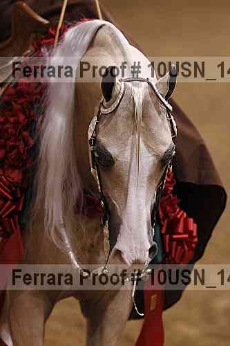 Proof 10usn_14846