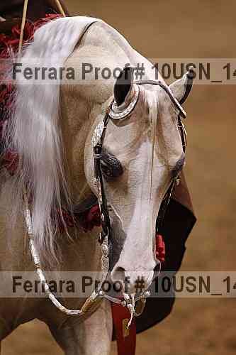Proof 10usn_14847