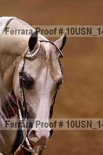 Proof 10usn_14848