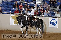 10usn_01215 proof