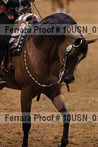 Proof 10usn_01235